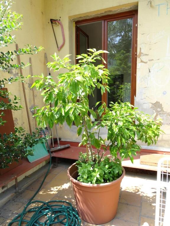 Garden Apartment On Art Nouveau Street In Central Praag Buitenkant foto